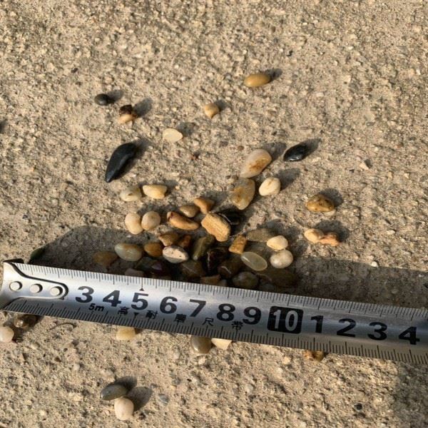 Natural Stone Mixed Pebble Stone