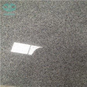 Lichtgrijze granieten G633 platen